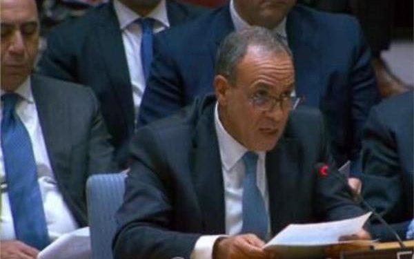 بدر عبد العاطي يشدد على ثبات الموقف المصري تجاه القضية الفلسطينية