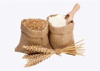 بـ 35 جنيه .. الإفتاء المصرية يحدد قيمة زكاة الفطر لهذا العام 1447هـ- 2026م