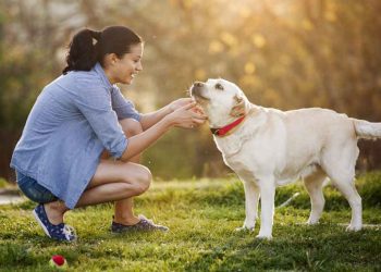 هل اقتناء الكلب داخل المنزل حرام؟.. أمين الفتوى يجيب