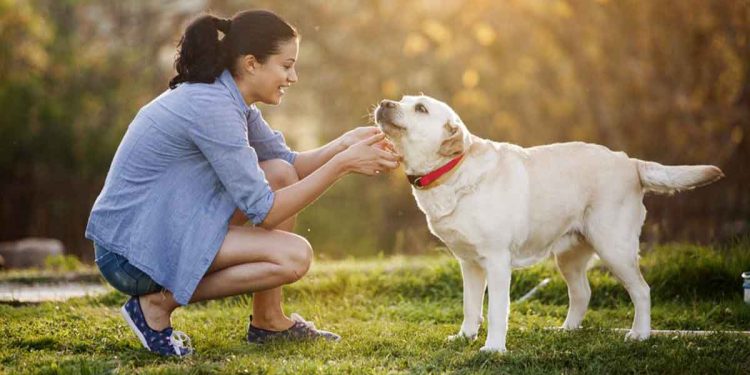 هل اقتناء الكلب داخل المنزل حرام؟.. أمين الفتوى يجيب