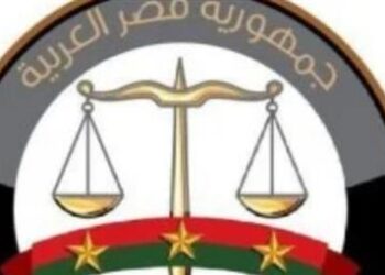 النائب العام يحظر النشر في واقعتي التعدي بالمنوفية وسيدة الإسكندرية