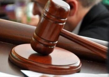 متورطة معه في قضايا نصب.. إحالة زوجة رجل الأعمال أمير الهلالي للمحاكمة