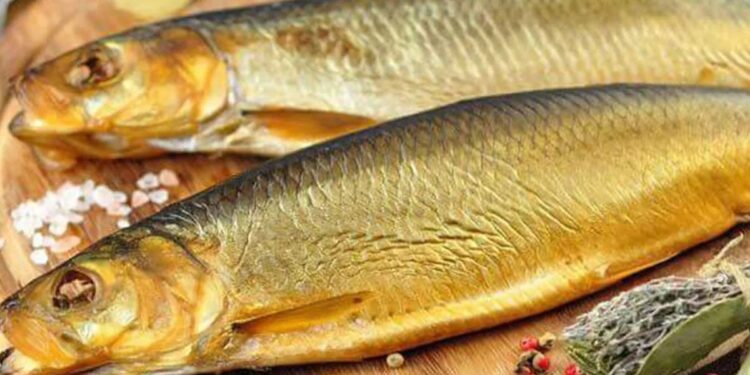 تعرف على أسعار الرنجة والفسيخ والسردين اليوم خلال شم النسيم 2026